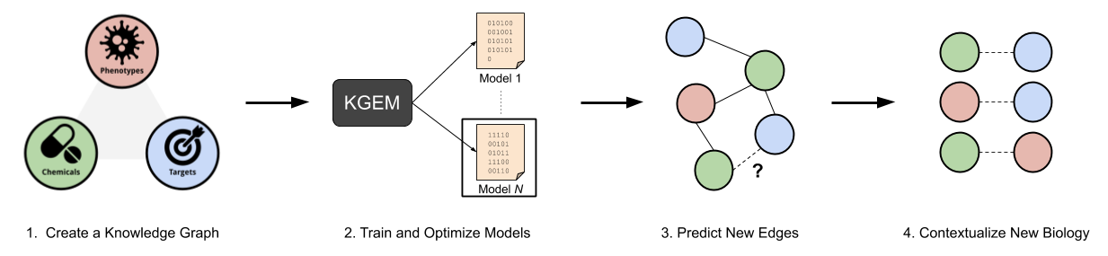 Research Workflow